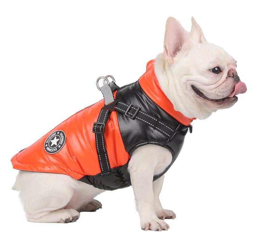 🎅🏻Winter Promotion - 49% OFF🎄Upgraded Dog's Waterproof Winter Jacket with Integrated Harness