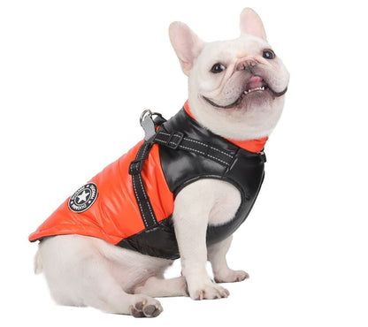 🎅🏻Winter Promotion - 49% OFF🎄Upgraded Dog's Waterproof Winter Jacket with Integrated Harness