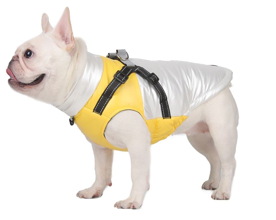 🎅🏻Winter Promotion - 49% OFF🎄Upgraded Dog's Waterproof Winter Jacket with Integrated Harness