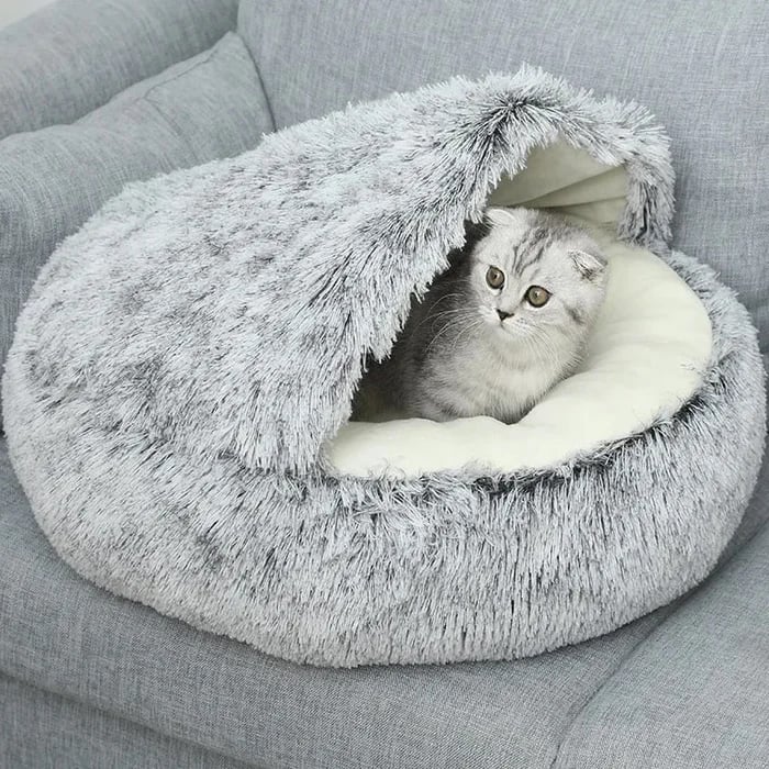 🔥LAST DAY PROMOTION - 49% OFF🔥Plush Bed For Dogs & Cats🐶🐱free shipping